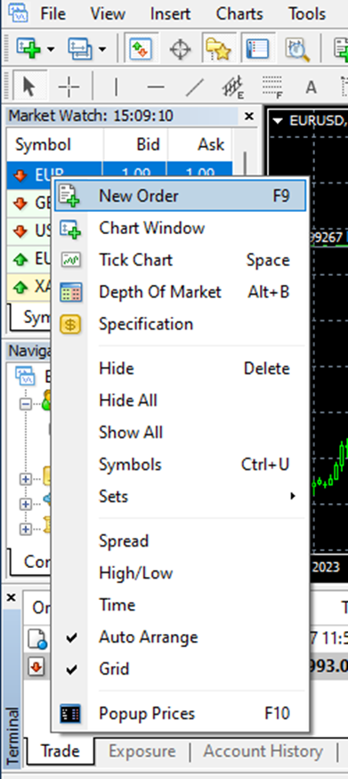 Market Watch window in a MetaTrader platform