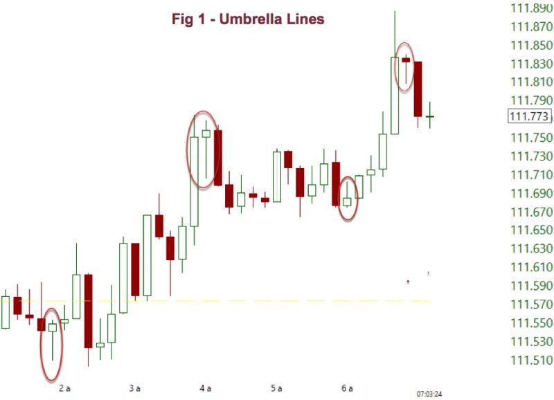Umbrella Lines, a term often used for Hammer and Hanging Man candlestick patterns in trading.