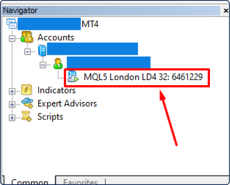 Navigator panel in MetaTrader 4 (MT4) showing a hierarchical structure