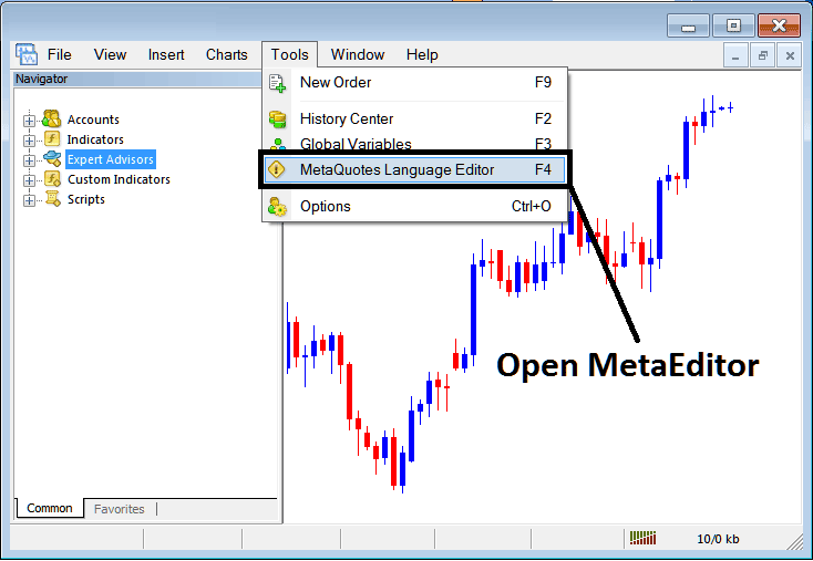 open MetaQuotes Language Editor