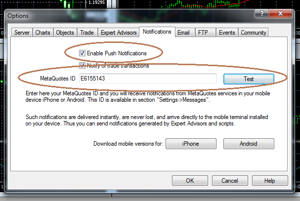 the Notifications tab in the Options window of a trading platform.