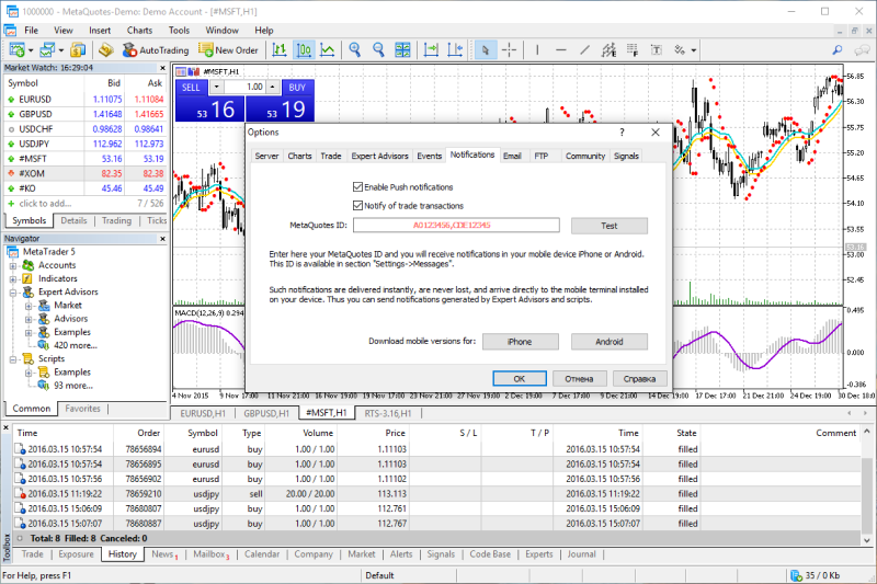 MetaTrader 5 desktop platform with the 'Options' window open, displaying the 'Notifications' tab