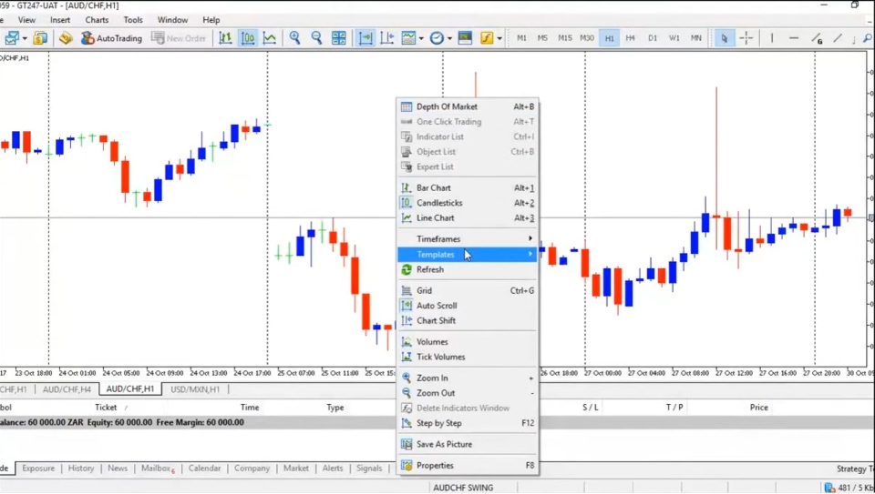 interface of MetaTarder displaying how to customize a chart