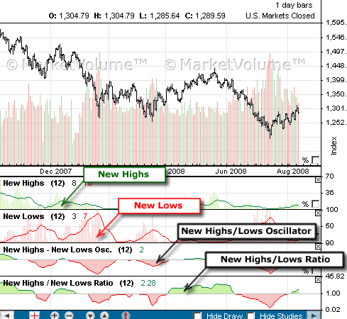 New high-new low index