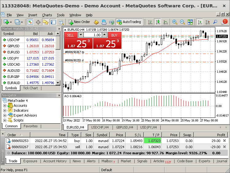 interface or MetaTrader